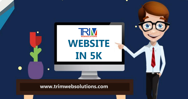 website-design-under-5k-in-delhi