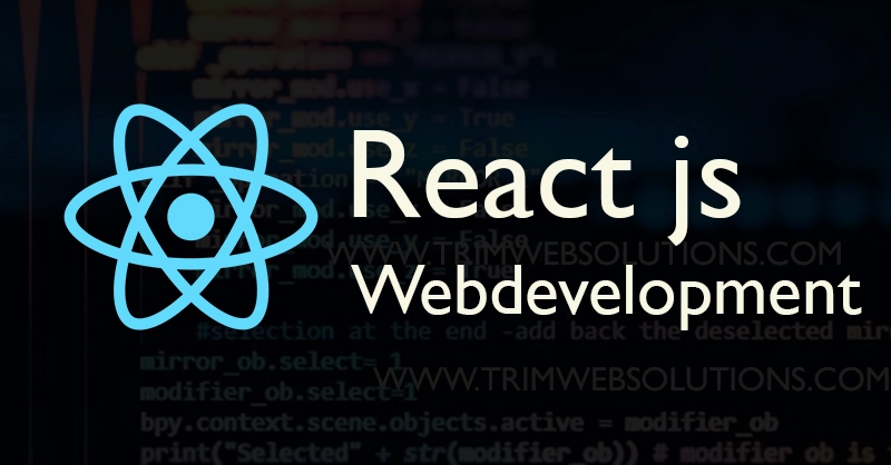 reactjs development