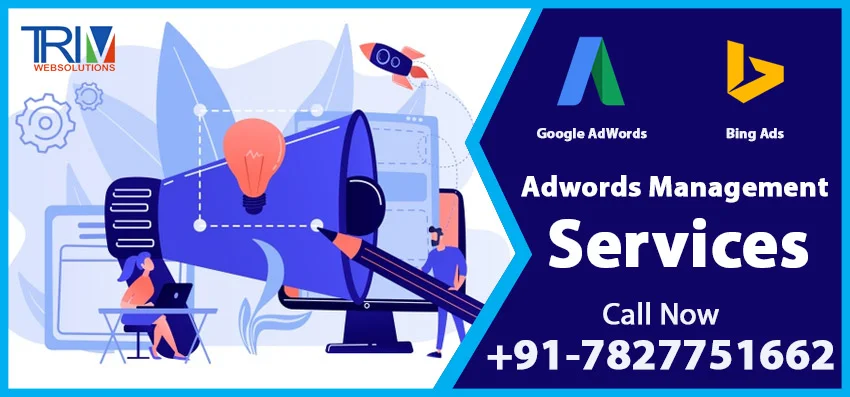 Run Google Ads with Champion  of Adwords Management Company Ituiutaba- Trimwebsolutions