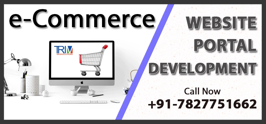 Ecommerce Website Development Greensboro, US| Ecommerce Web Designing